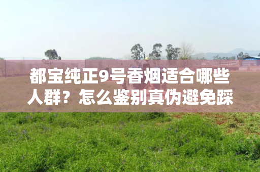 都宝纯正9号香烟适合哪些人群？怎么鉴别真伪避免踩坑？