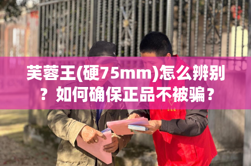 芙蓉王(硬75mm)怎么辨别？如何确保正品不被骗？